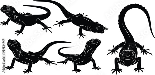 Silhouettes of lizards in varied poses and orientations, creative vector artwork, modern design illustration, reptile graphics