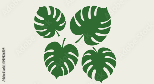 Minimalist green monstera leaves design against a neutral background for graphic usage