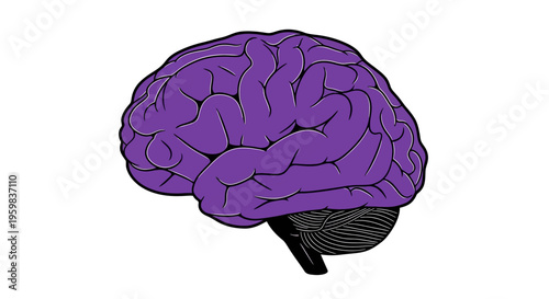 Illustration of a Purple Brain Showing Neural Networks and Cognitive Processes