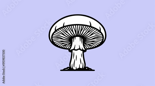 Black and white mushroom drawing.