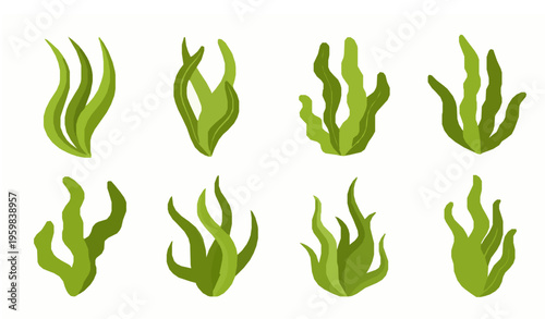 Underwater Marine Flora Cartoon Seaweed Algae Vector Illustration Set