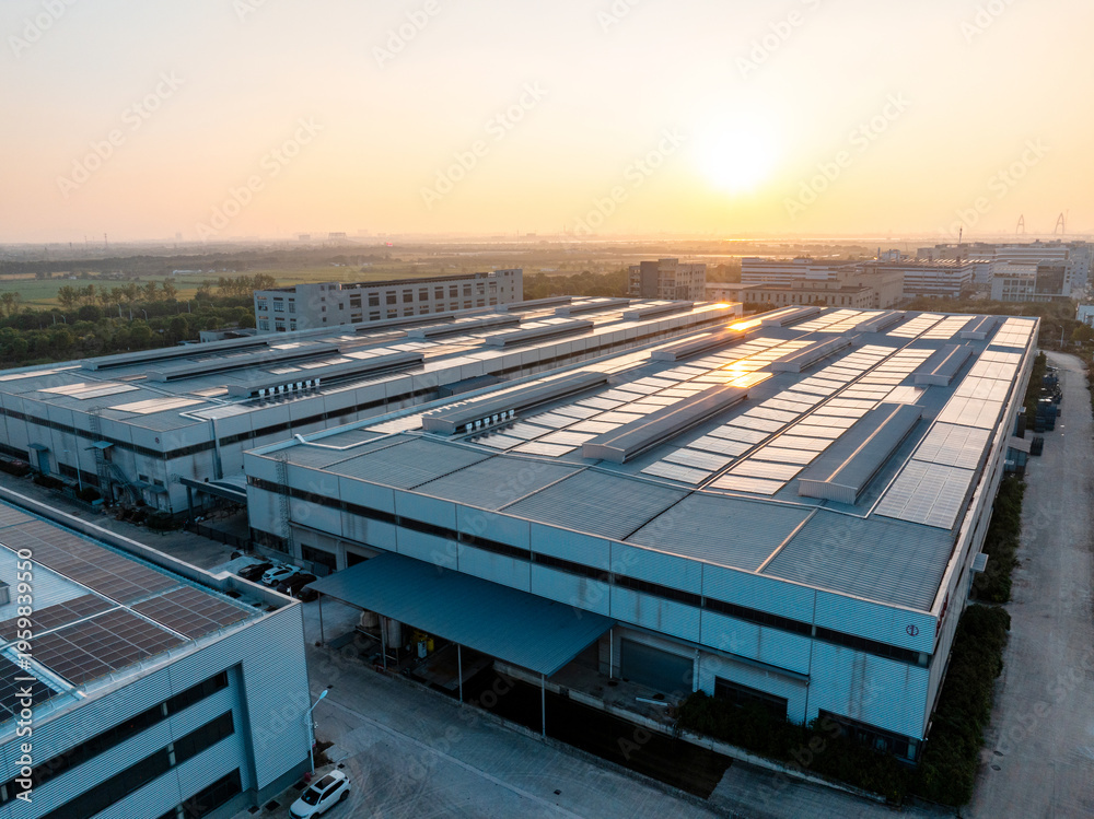 Fototapeta premium default