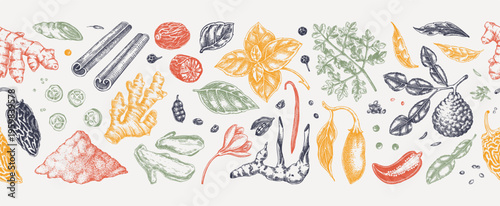 Vintage spices and herbs seamless pattern. Hand drawn engraving food background. Kitchen ingredients border design.  NOT AI generated