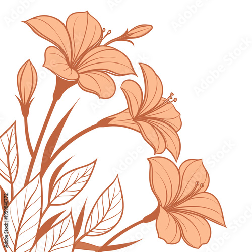 Orange flowers and leaves on white background botanical