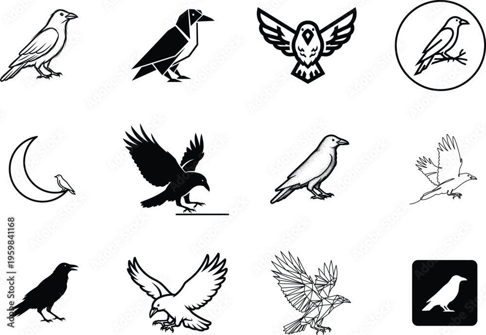 Fototapeta premium Various black and white bird silhouettes and illustrations on white background