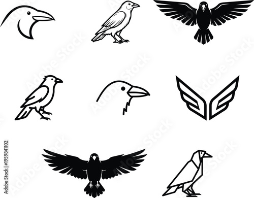 Black and white bird silhouettes and illustrations on white background