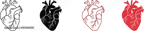 Four different colored heart illustrations with detailed vascular structures shown