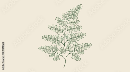 Detailed illustration of a leaf.