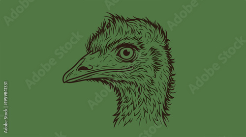 Detailed Emu Bird Head Portrait.