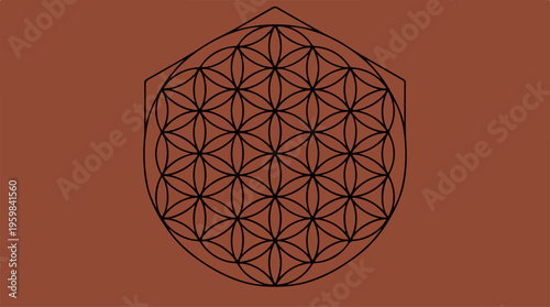 Flower of Life Sacred Geometry.