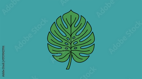 Green Monstera Leaf Illustration.