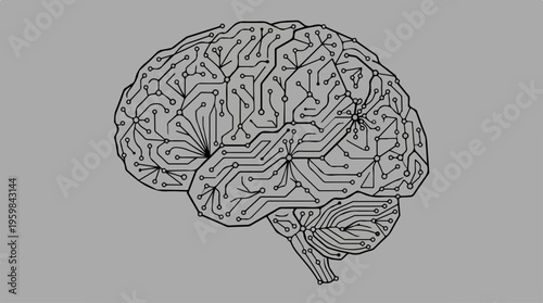 Human Brain Anatomy Illustration.