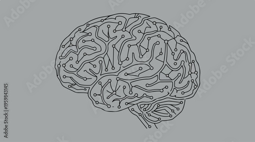 Human Brain Illustration.