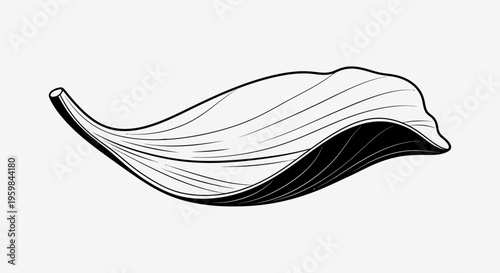 Abstract organic flowing lines with a botanical feel