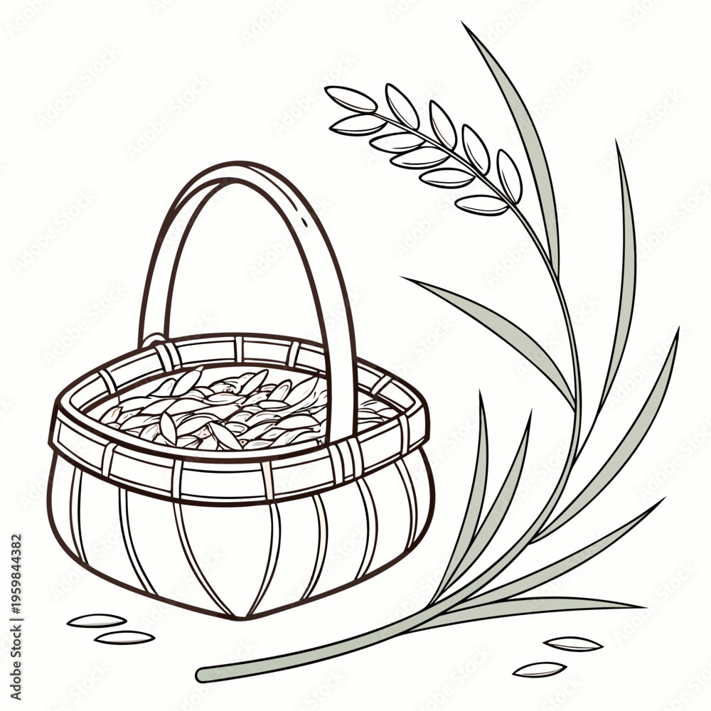 Fototapeta premium Single basket with grains and paddy plant food agriculture