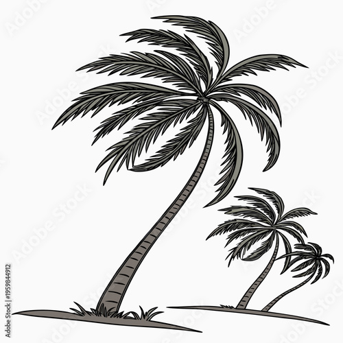 Sloping Palm Trees slope nature outdoors environment