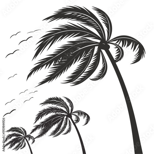 Palm trees and birds in a windy scene tropical black and white