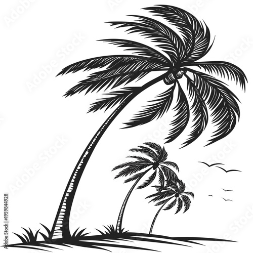 Palm trees blowing in the wind black silhouette windy