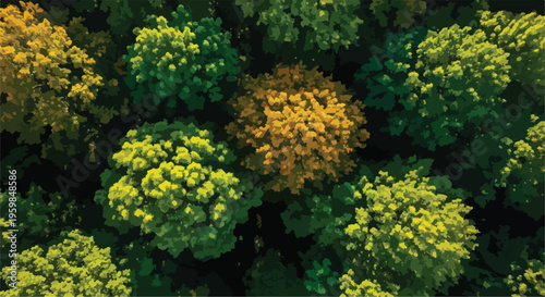 Bild auf Leinwand Aerial View of Green and Yellow Forest Trees Vector