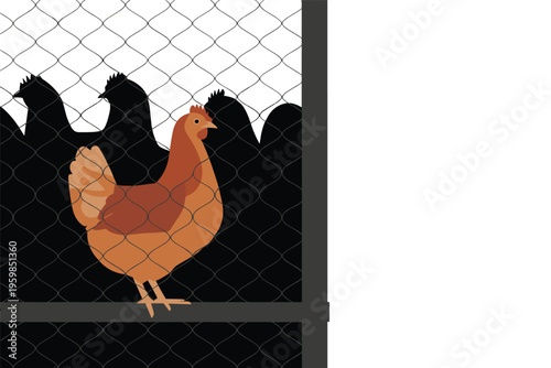 Brown Chicken in a Wire Cage Illustration, poultry farming concept with copy space