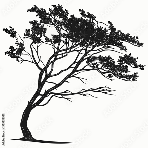 Tree with sparse foliage blowing in the wind windy