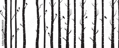 Fotografie birch tree forest silhouette vector with birds .