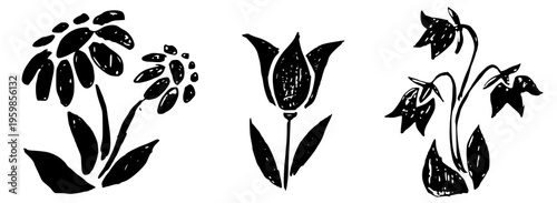 Hand drawn floral silhouette set in linocut style. Black and white rustic vector illustration of daisy, tulip and bellflower isolated on white