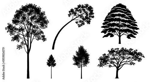 Set of Black Tree Silhouettes, Various Shapes and Sizes