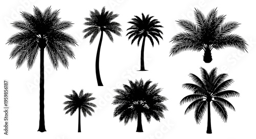 Palm Tree Silhouettes Collection