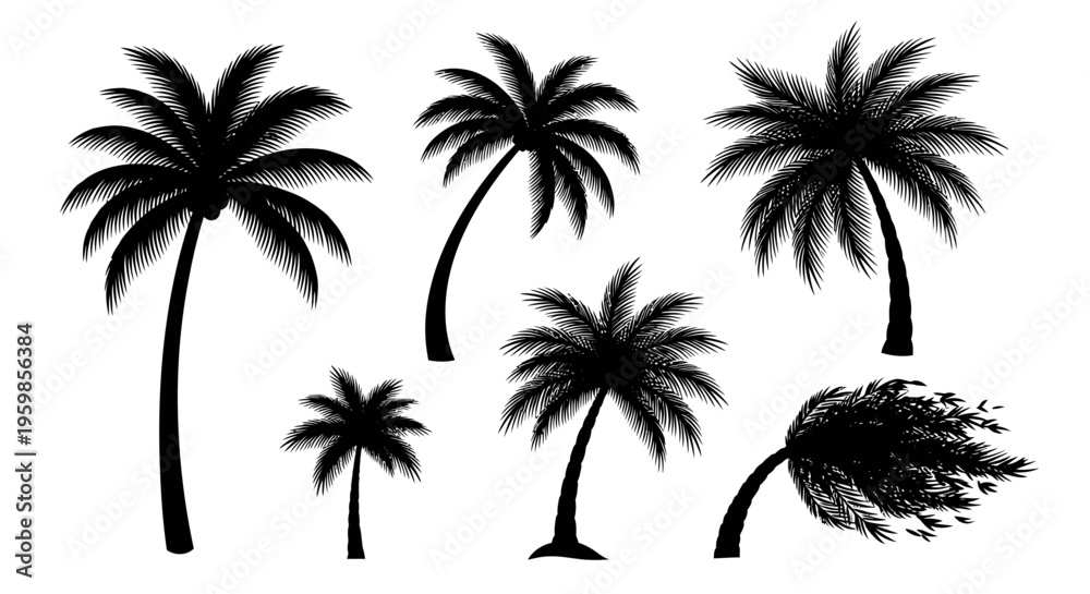 Fototapeta premium Set of Black Palm Tree Silhouettes Isolated on White Background