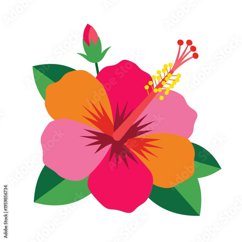Vibrant Tropical Hibiscus Flower Illustration with Bud and Leaves.