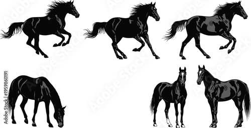 Collection of black horse silhouettes in various poses including galloping, standing, and grazing isolated on white background for equestrian and farm designs.