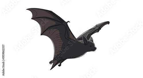 A black bat flies with its wings spread on a white background.