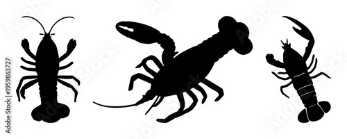 Lobster set with bold silhouette against single-color backdrop featuring marine, seafood, shellfish with black shape and vector illustration