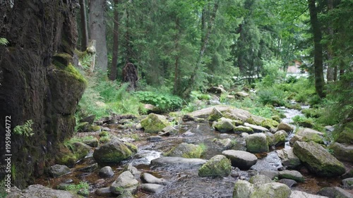 Stream with moss covered rocks in Black Forest Mountain Range Germany Schwarzwald