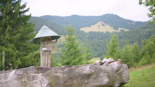 Tree drinking fountain in Black Forest Mountain Range Germany Schwarzwald