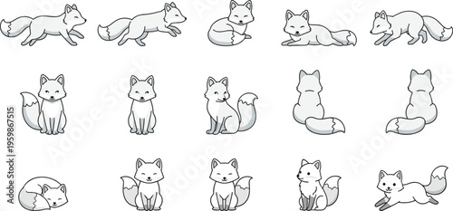 Cartoon vector illustration of white fox character in multiple poses including running, sitting, lying, sleeping, and playful actions