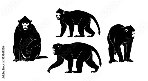 Silhouette macaques in various poses on white background