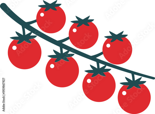 Colorful vector illustration of cherry tomato vine with ripe red tomatoes, green stem, and calyx details