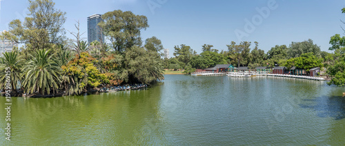 large paddle boat rental on lake shore at 