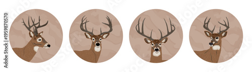 White-tailed deer buck portraits in circles, whitetail deer head icons set, wild animal antlers vector illustration on brown background, round wildlife stickers
