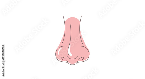Human nose close up illustration.