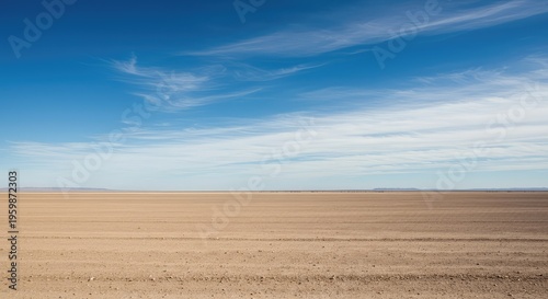 The expansive, featureless horizon line where the open sky meets the empty, arid landscape, representing immense potential and isolation, horizon, simple, clear