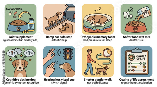 Comprehensive Senior Dog Care Infographic Guide for Aging Pets Health