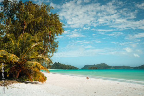 Person sitting on tropical beach near leaning palm tree, Anse Volbert, Praslin Island, Seychelles