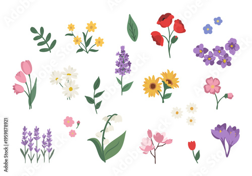 Spring flowers vector illustration set featuring various flowers and leaves in a soft, decorative style. Hand drawn leaves, floral bouquets, flower compositions
