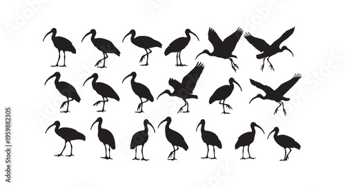 A group of black birds standing and flying on white background isolated on transparent background
