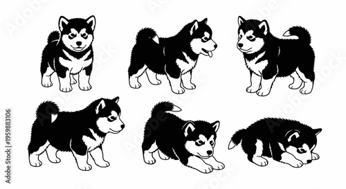 Set of Six Adorable Husky Puppies in Various Poses, Black and White Line Art