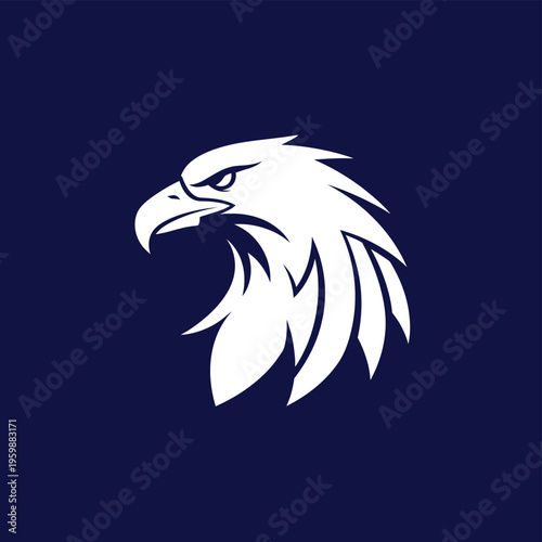 Majestic white eagle head with sharp gaze on dark background.