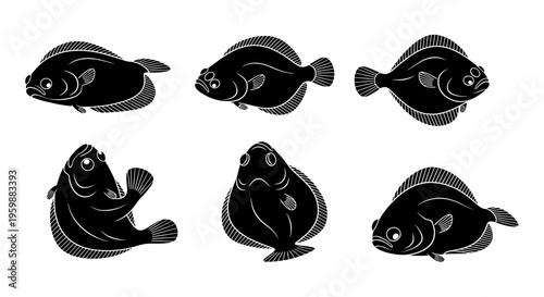 Set of six black and white illustrations of flatfish, sole, flounder, or plaice in different poses